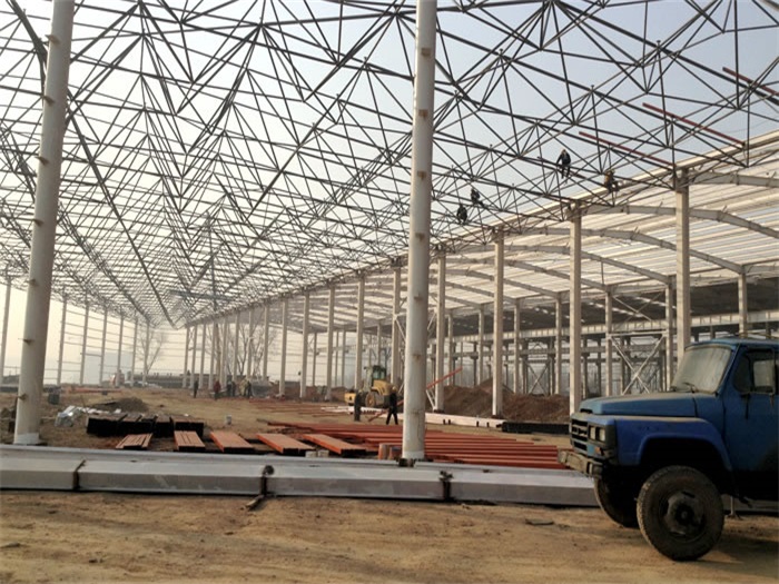 阿城网架架构工程